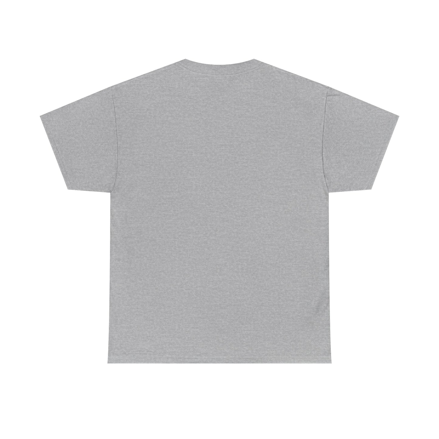 Warning T-Shirt, Fun Umpire Tee, Unique Sports Gift, Casual Wear, Perfect for Baseball Fans
