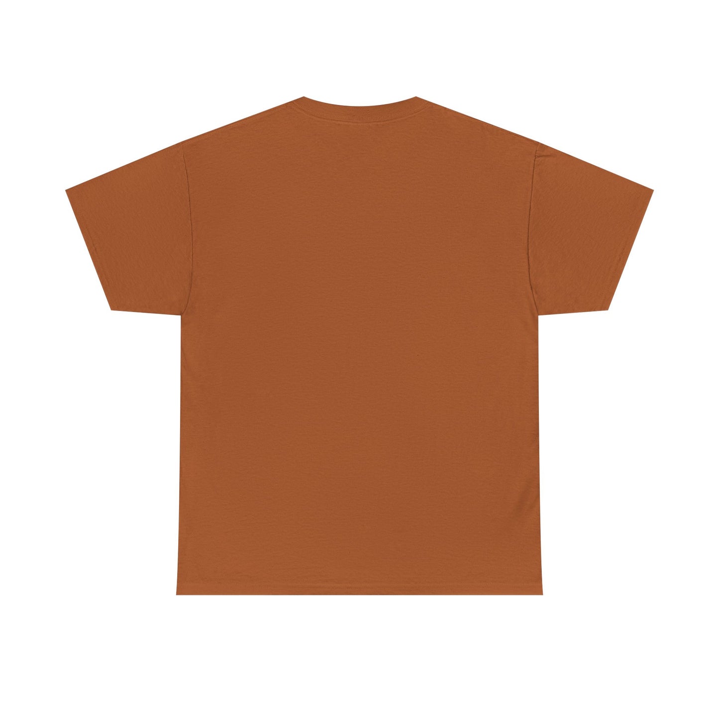 Warning T-Shirt, Fun Umpire Tee, Unique Sports Gift, Casual Wear, Perfect for Baseball Fans