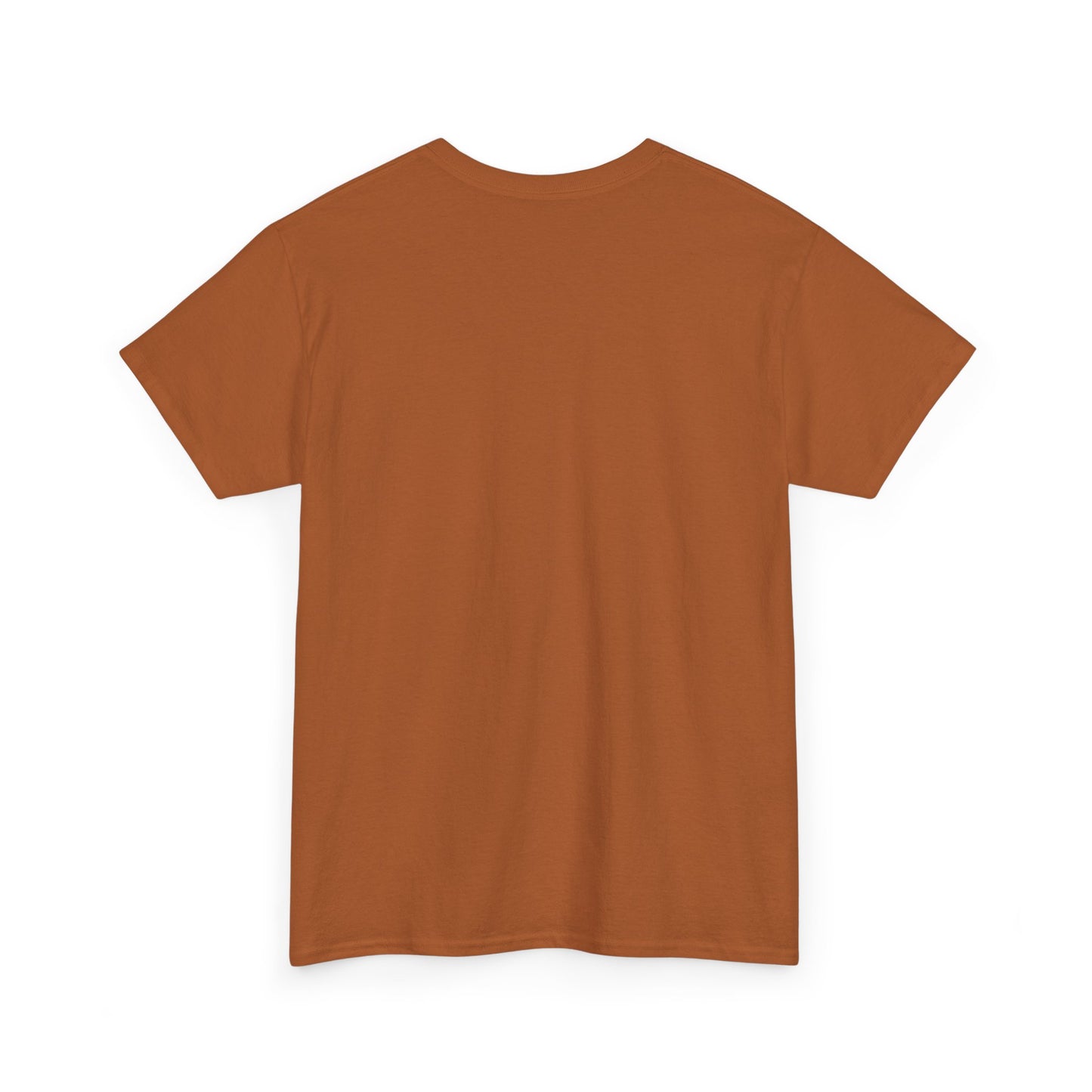 Warning T-Shirt, Fun Umpire Tee, Unique Sports Gift, Casual Wear, Perfect for Baseball Fans