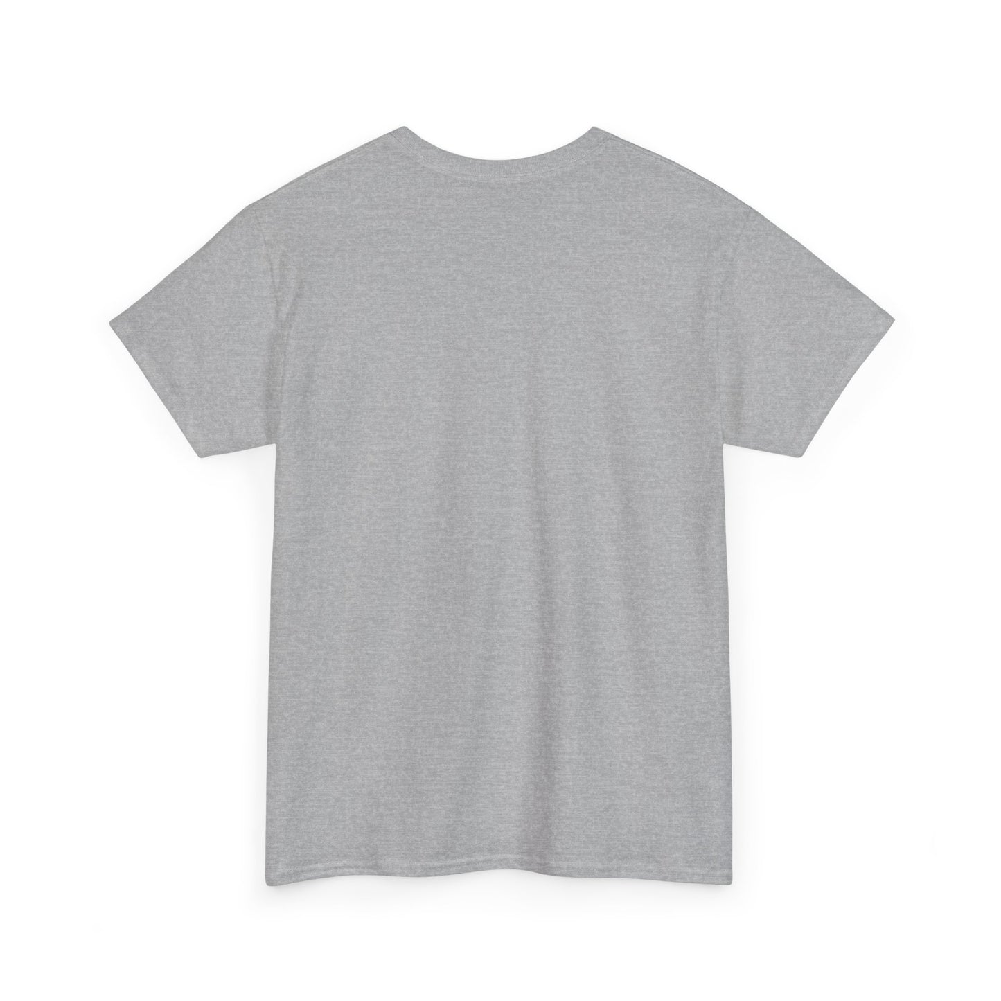 Warning T-Shirt, Fun Umpire Tee, Unique Sports Gift, Casual Wear, Perfect for Baseball Fans