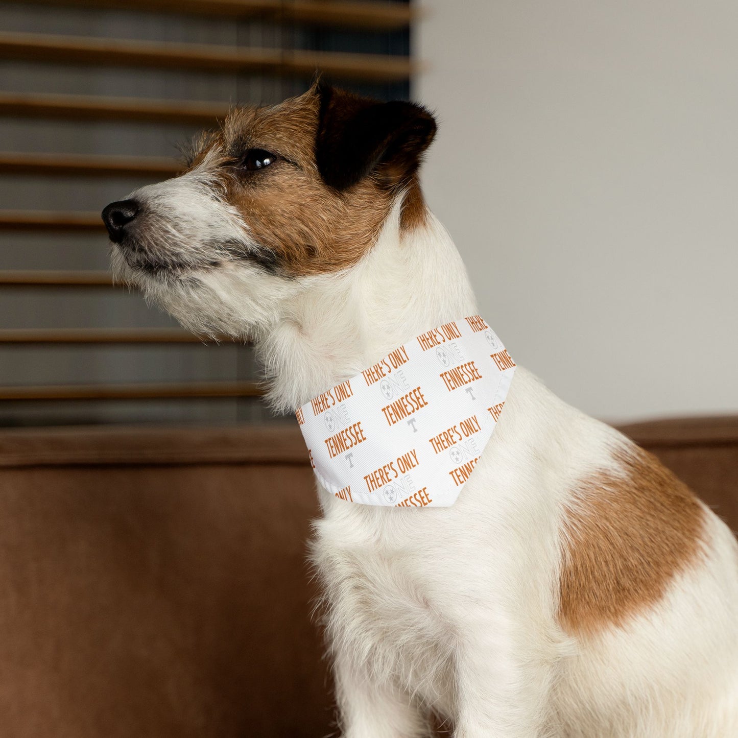 Tennessee Pet Bandana Collar, Dog Accessory, Cute Pet Fashion, Gift for Dog Lovers, Outdoor Adventures, Pet Parties, Customizable