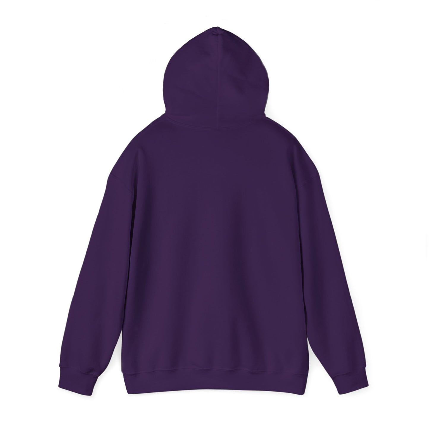 Chillin' Like a Felon Hoodie - Cozy Unisex Sweatshirt for Fall Celebrations