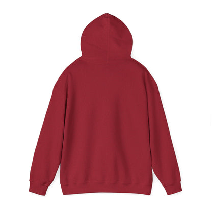 Chillin' Like a Felon Hoodie - Cozy Unisex Sweatshirt for Fall Celebrations