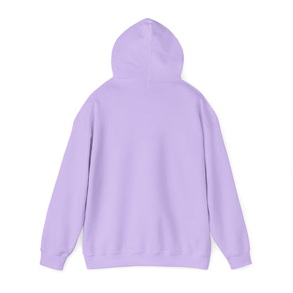Chillin' Like a Felon Hoodie - Cozy Unisex Sweatshirt for Fall Celebrations