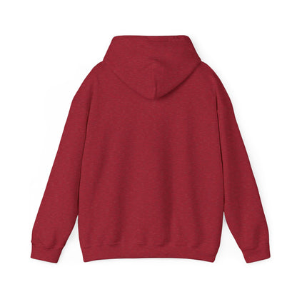 Chillin' Like a Felon Hoodie - Cozy Unisex Sweatshirt for Fall Celebrations