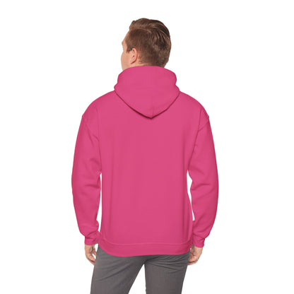 Chillin' Like a Felon Hoodie - Cozy Unisex Sweatshirt for Fall Celebrations