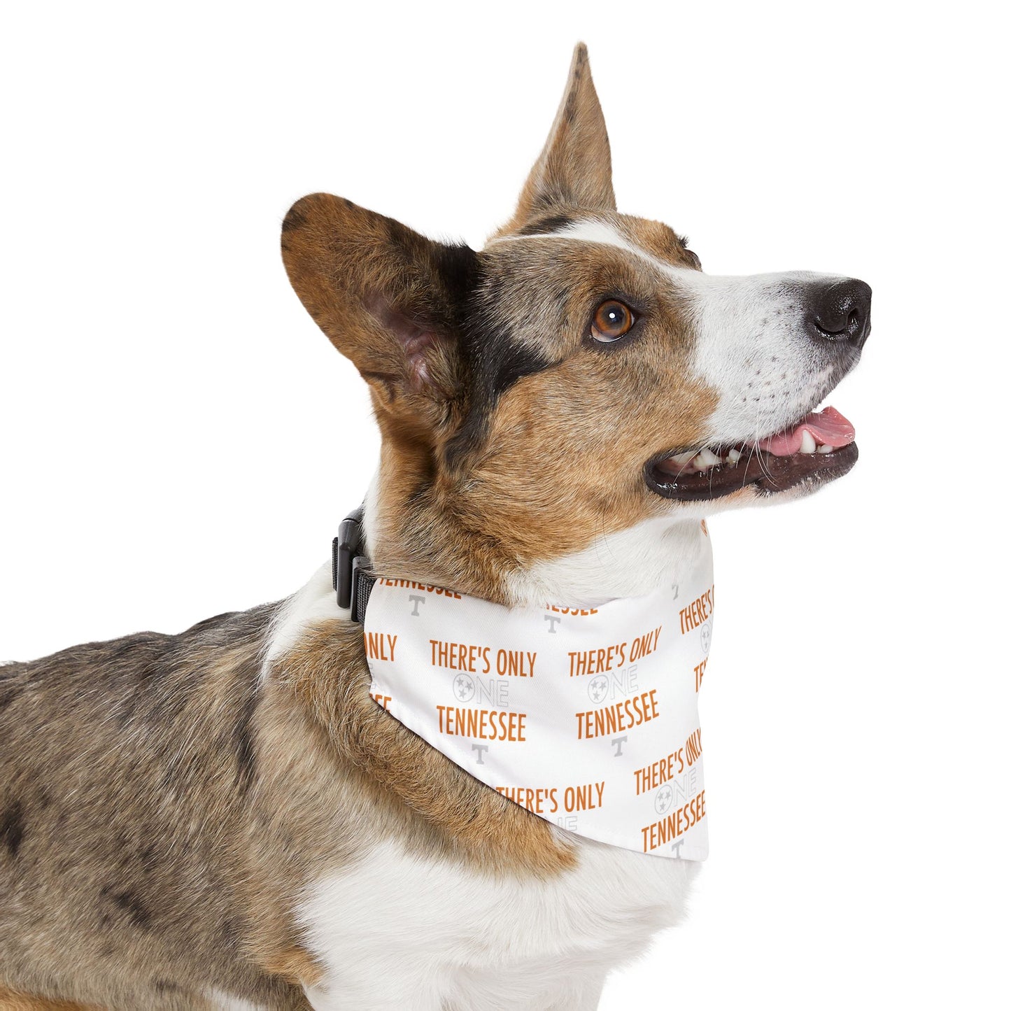 Tennessee Pet Bandana Collar, Dog Accessory, Cute Pet Fashion, Gift for Dog Lovers, Outdoor Adventures, Pet Parties, Customizable