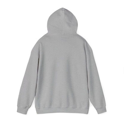 Chillin' Like a Felon Hoodie - Cozy Unisex Sweatshirt for Fall Celebrations