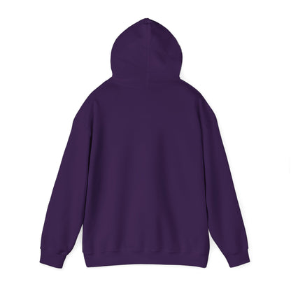 Chillin' Like a Felon Hoodie - Cozy Unisex Sweatshirt for Fall Celebrations