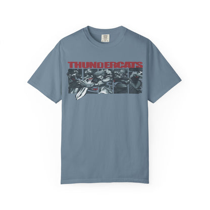 Thundercats Vintage Unisex Garment-Dyed T-shirt