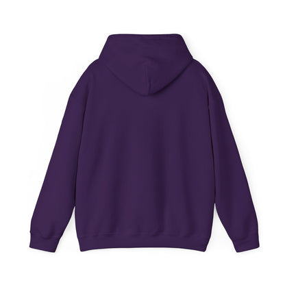 Chillin' Like a Felon Hoodie - Cozy Unisex Sweatshirt for Fall Celebrations